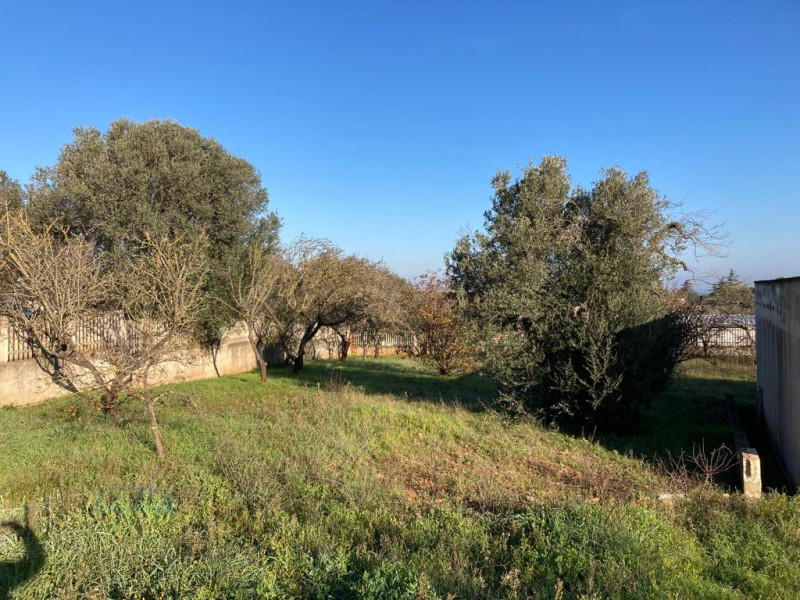 Immagine 5 di Villa in vendita  in Contrada Frutto a Ceglie Messapico