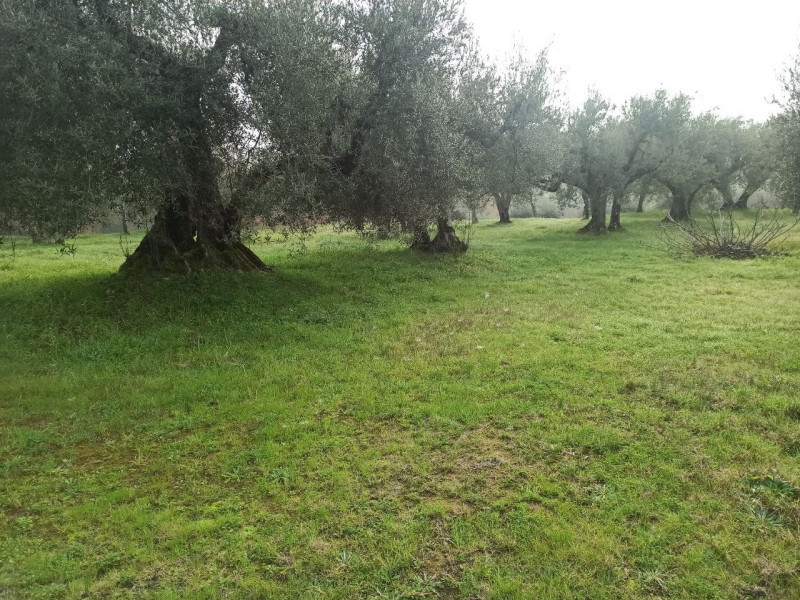 Immagine 2 di Terreno in vendita  in via del mulino a Panicale
