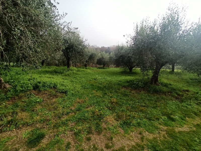 Immagine 9 di Terreno in vendita  in via del mulino a Panicale