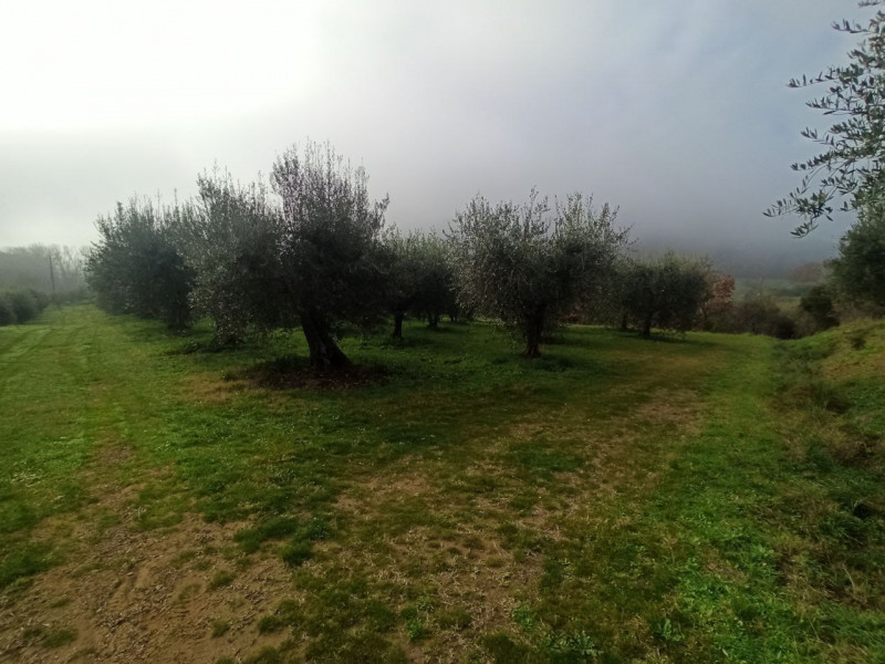 Immagine 10 di Terreno in vendita  in via del mulino a Panicale