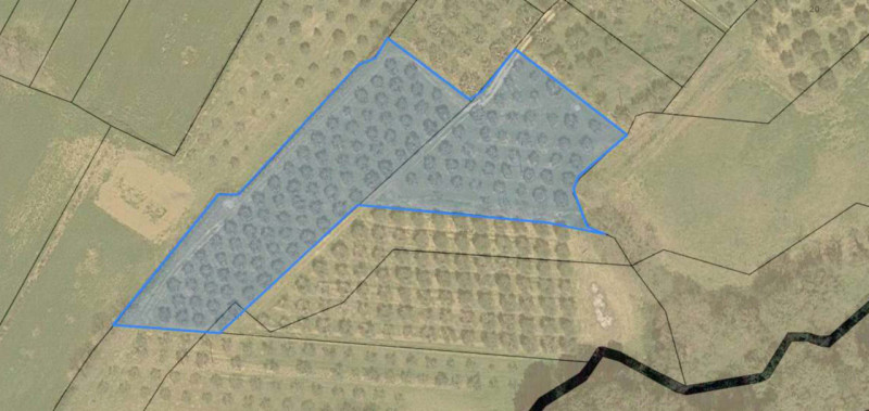 Immagine 12 di Terreno in vendita  in via del mulino a Panicale