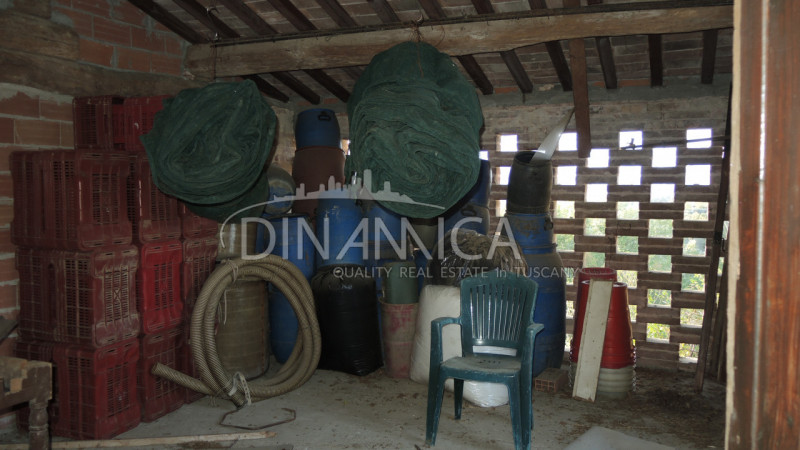 Immagine 7 di Rustico / casale in vendita  a Palaia