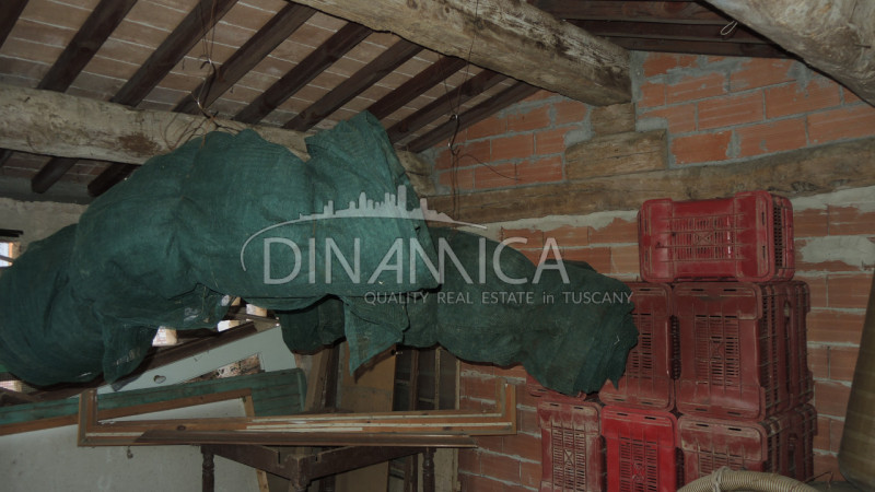 Immagine 11 di Rustico / casale in vendita  a Palaia