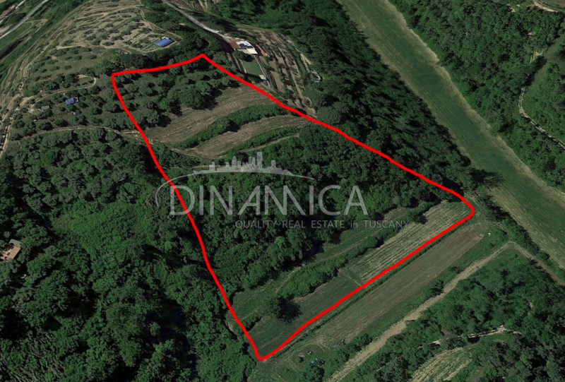 Immagine 12 di Rustico / casale in vendita  a Palaia