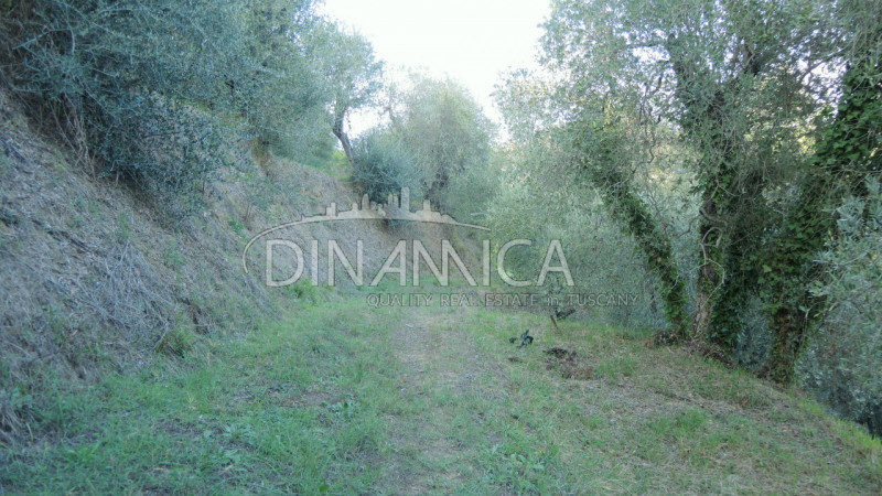 Immagine 13 di Rustico / casale in vendita  a Palaia