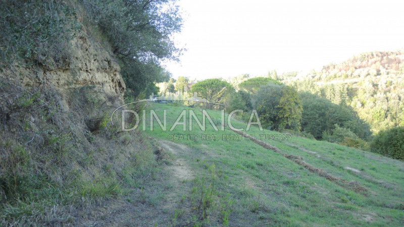 Immagine 14 di Rustico / casale in vendita  a Palaia