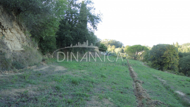 Immagine 15 di Rustico / casale in vendita  a Palaia