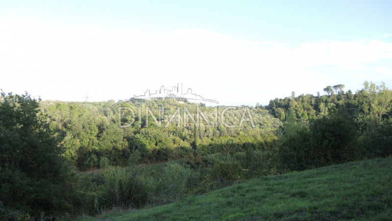 Immagine 16 di Rustico / casale in vendita  a Palaia