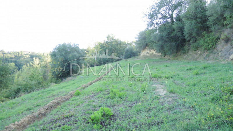 Immagine 17 di Rustico / casale in vendita  a Palaia