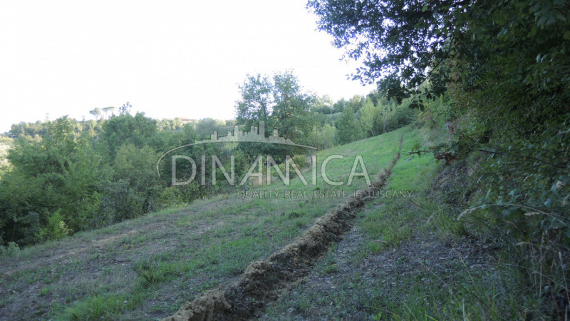 Immagine 18 di Rustico / casale in vendita  a Palaia