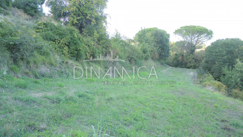 Immagine 19 di Rustico / casale in vendita  a Palaia