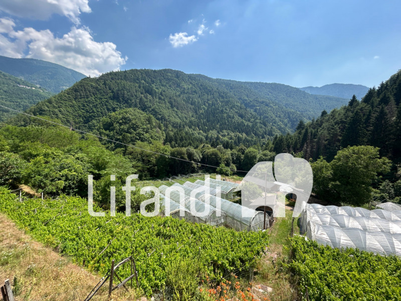 Immagine 7 di Appartamento in vendita  in Grumes viale del molino a Altavalle