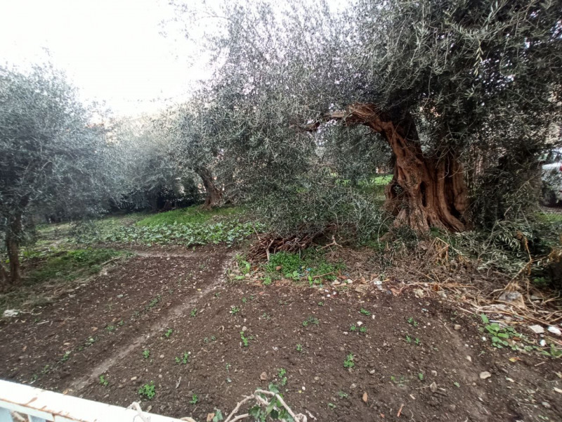 Immagine 5 di Laboratorio in affitto  in Via Roma a Castiglione Del Lago