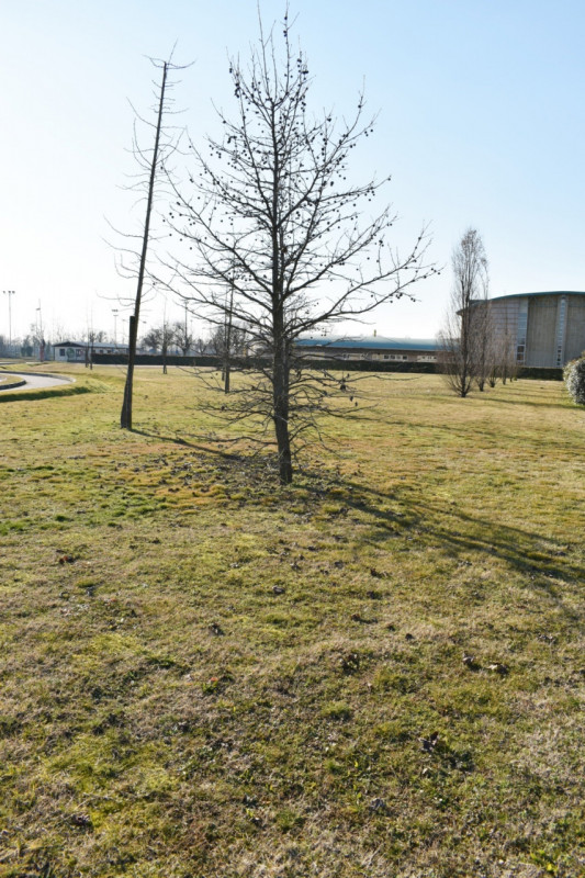 Immagine 7 di Terreno in vendita  in via montello a Resana