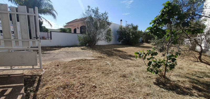 Immagine 5 di Terreno in vendita  a Casarano