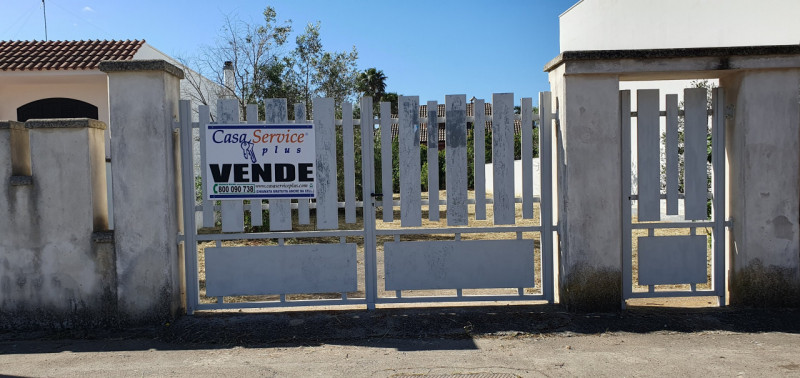 Immagine 9 di Terreno in vendita  a Casarano