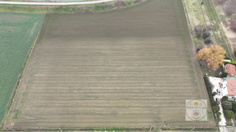Immagine 4 di Terreno in vendita  in via rana ca mori a Este