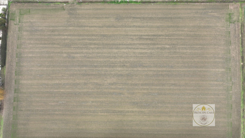 Immagine 5 di Terreno in vendita  in via rana ca mori a Este