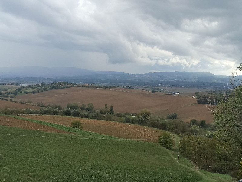 Immagine 34 di Villa in vendita  in Via Roma a Castiglione Del Lago