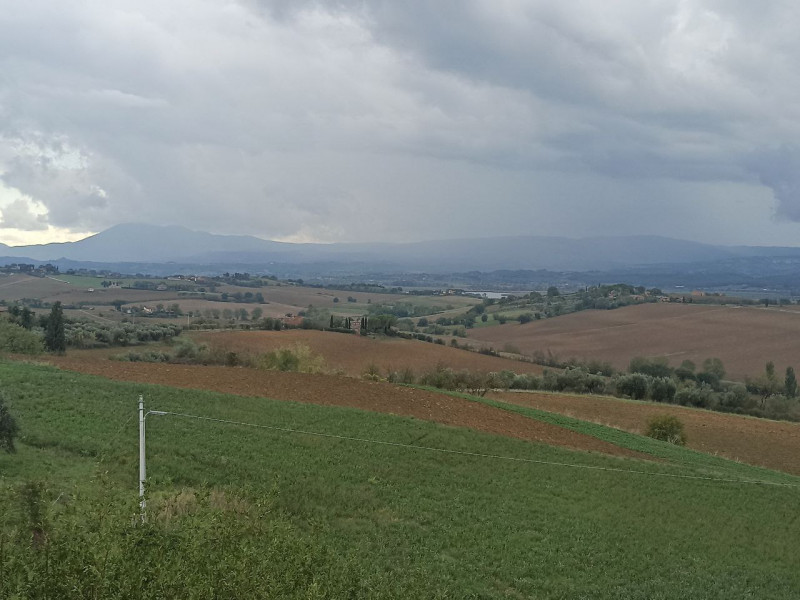 Immagine 35 di Villa in vendita  in Via Roma a Castiglione Del Lago