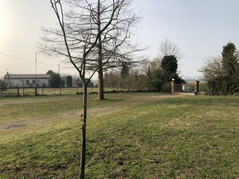 Immagine 4 di Villa in vendita  in Vai Barenassa a Chioggia