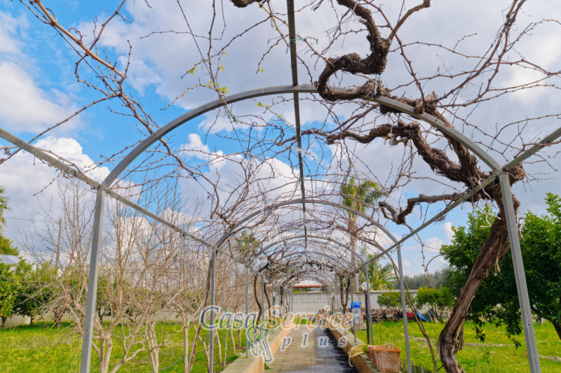 Immagine 35 di Villa in vendita  in Contrada Viva a Cutrofiano