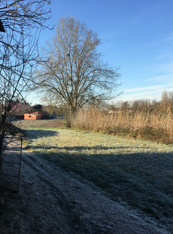 Immagine 2 di Terreno in vendita  a Suzzara