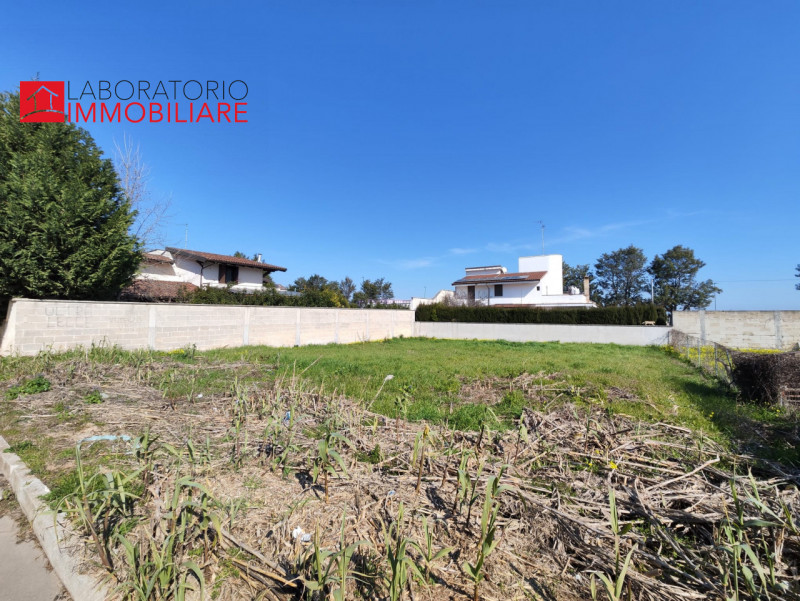 Immagine 3 di Terreno in vendita  in via Vecchia Salice a Guagnano
