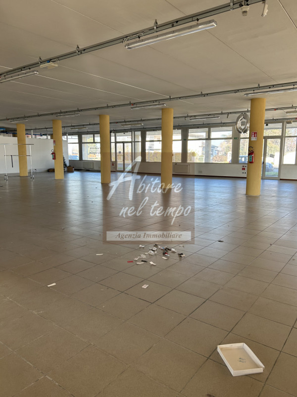 Immagine 1 di Attività commerciale in affitto  a Tombolo