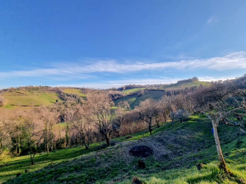 Immagine 21 di Casa indipendente in vendita  in località Castelcavallino a Urbino