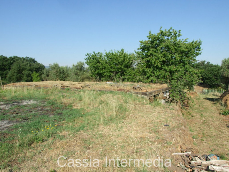 Immagine 3 di Rustico / casale in vendita  in Via del  Cerro 102 a Nepi