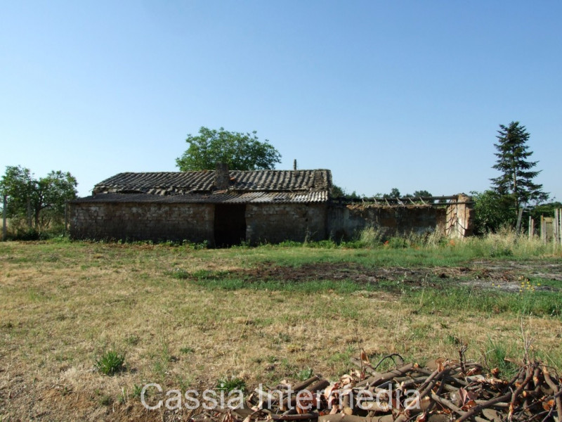 Immagine 4 di Rustico / casale in vendita  in Via del  Cerro 102 a Nepi