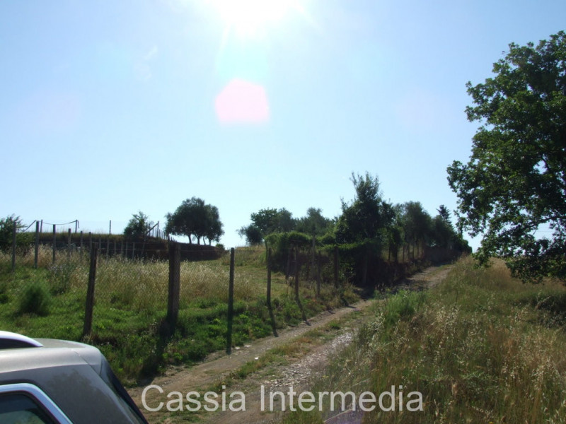 Immagine 5 di Rustico / casale in vendita  in Via del  Cerro 102 a Nepi