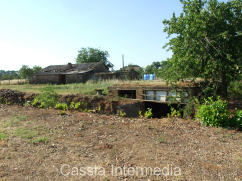 Immagine 10 di Rustico / casale in vendita  in Via del  Cerro 102 a Nepi