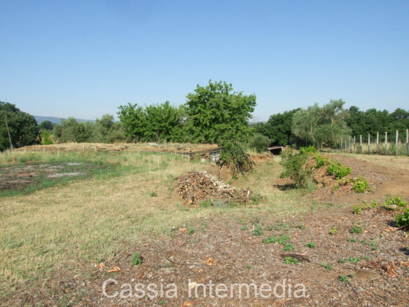 Immagine 11 di Rustico / casale in vendita  in Via del  Cerro 102 a Nepi