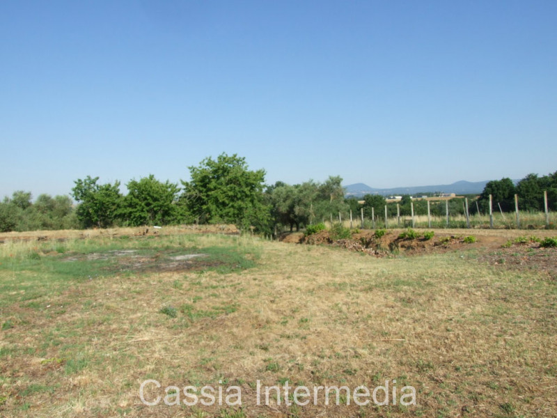 Immagine 12 di Rustico / casale in vendita  in Via del  Cerro 102 a Nepi