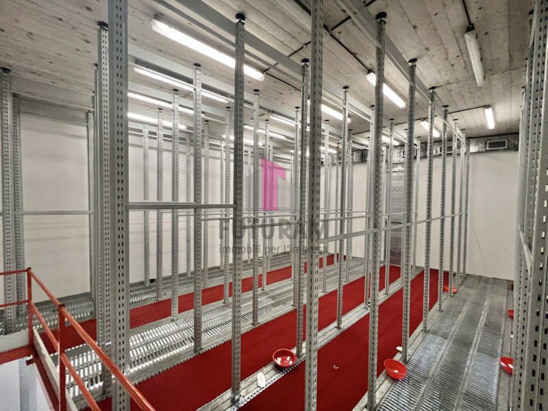 Immagine 20 di Capannone industriale in affitto  in Via Dante a Torri Di Quartesolo