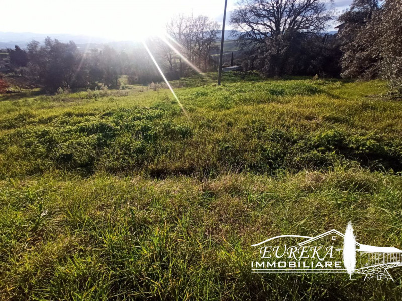 Immagine 2 di Terreno in vendita  in Via Pozzuolo a Castiglione Del Lago