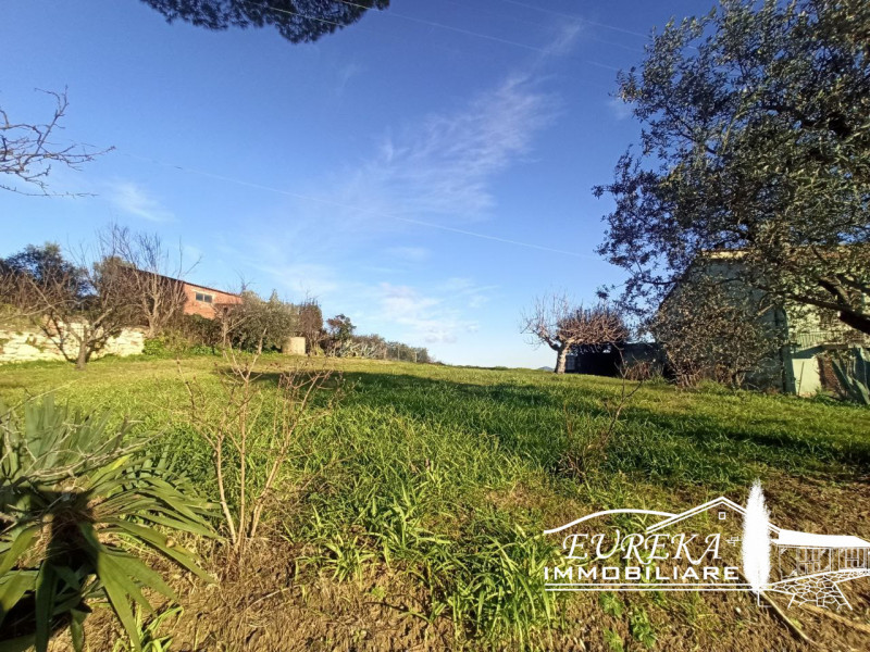 Immagine 3 di Terreno in vendita  in Via Pozzuolo a Castiglione Del Lago
