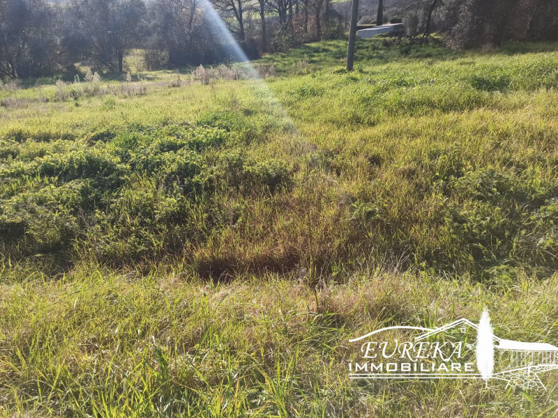 Immagine 4 di Terreno in vendita  in Via Pozzuolo a Castiglione Del Lago