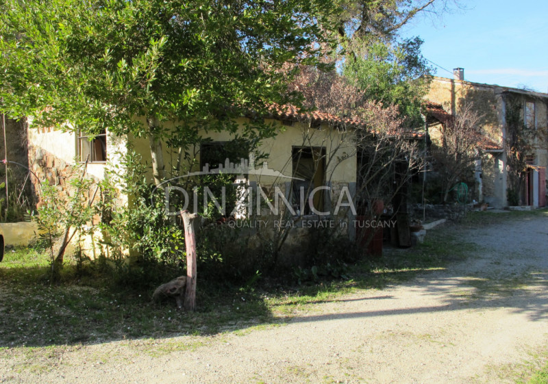 Immagine 5 di Rustico / casale in vendita  a Chianni
