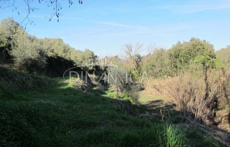 Immagine 6 di Rustico / casale in vendita  a Chianni