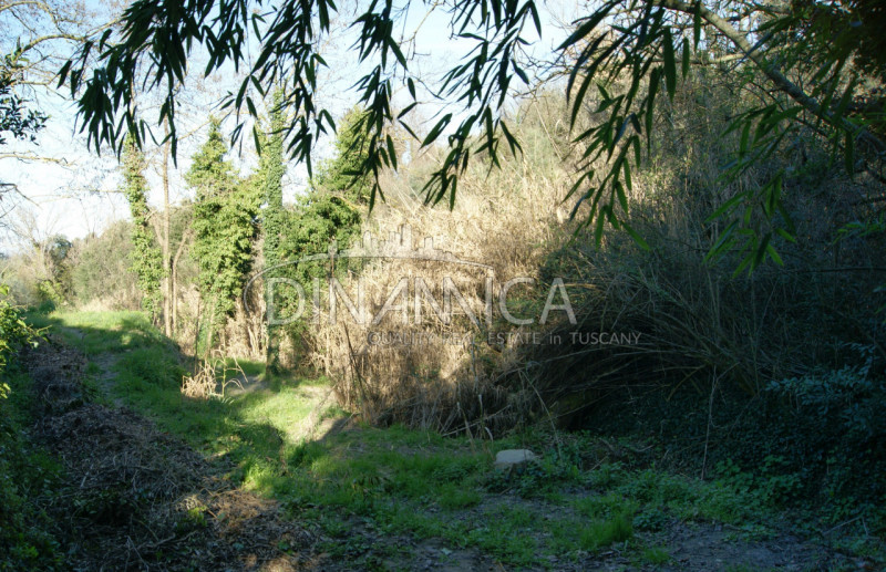 Immagine 27 di Rustico / casale in vendita  a Chianni