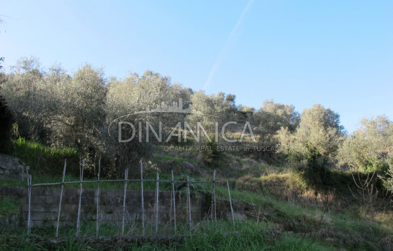 Immagine 30 di Rustico / casale in vendita  a Chianni