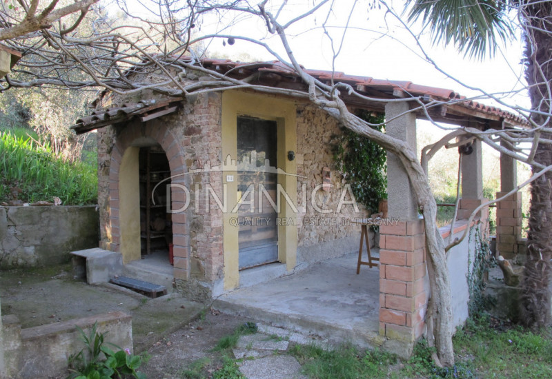 Immagine 34 di Rustico / casale in vendita  a Chianni