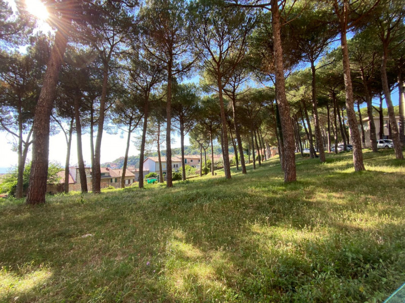 Immagine 6 di Appartamento in vendita  in Via della Pineta a San Polo Dei Cavalieri