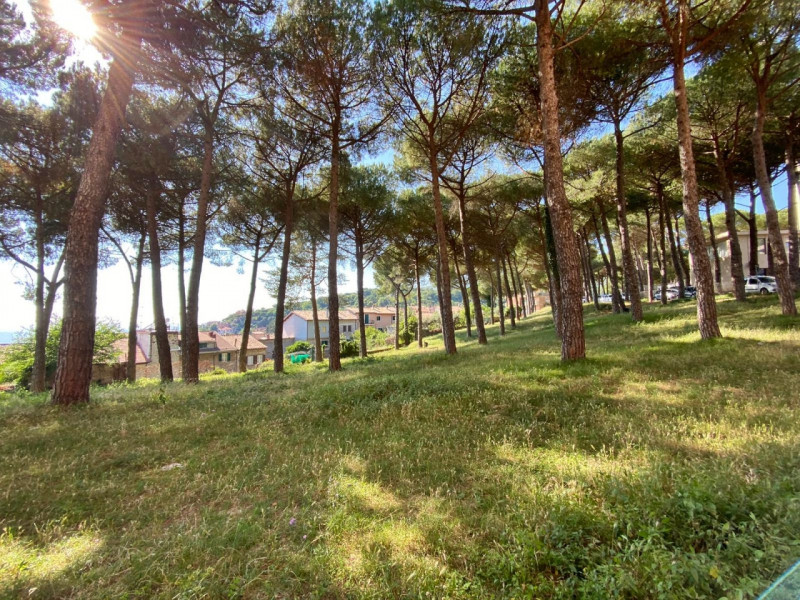 Immagine 7 di Appartamento in vendita  in Via della Pineta a San Polo Dei Cavalieri