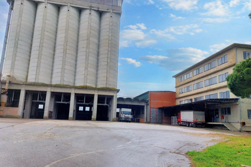 Immagine 2 di Capannone industriale in vendita  in Loc. Olmini, Via Santa Maria (SP 306), N. snc a Panicale