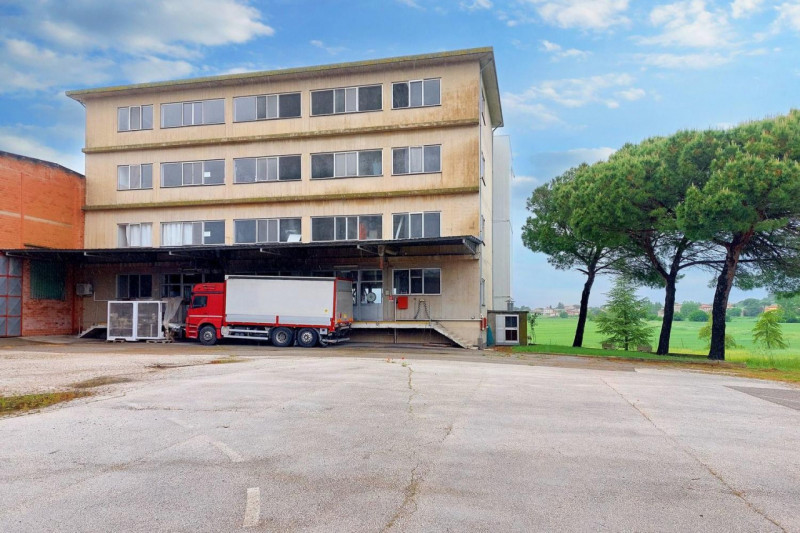 Immagine 3 di Capannone industriale in vendita  in Loc. Olmini, Via Santa Maria (SP 306), N. snc a Panicale