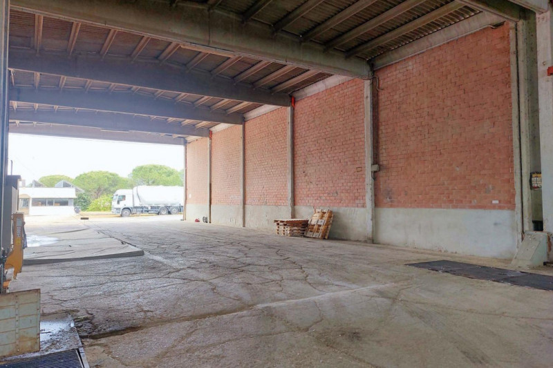 Immagine 11 di Capannone industriale in vendita  in Loc. Olmini, Via Santa Maria (SP 306), N. snc a Panicale